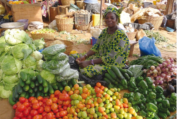 Featured image for - Ecosanté: protecting growers and the environment in West Africa